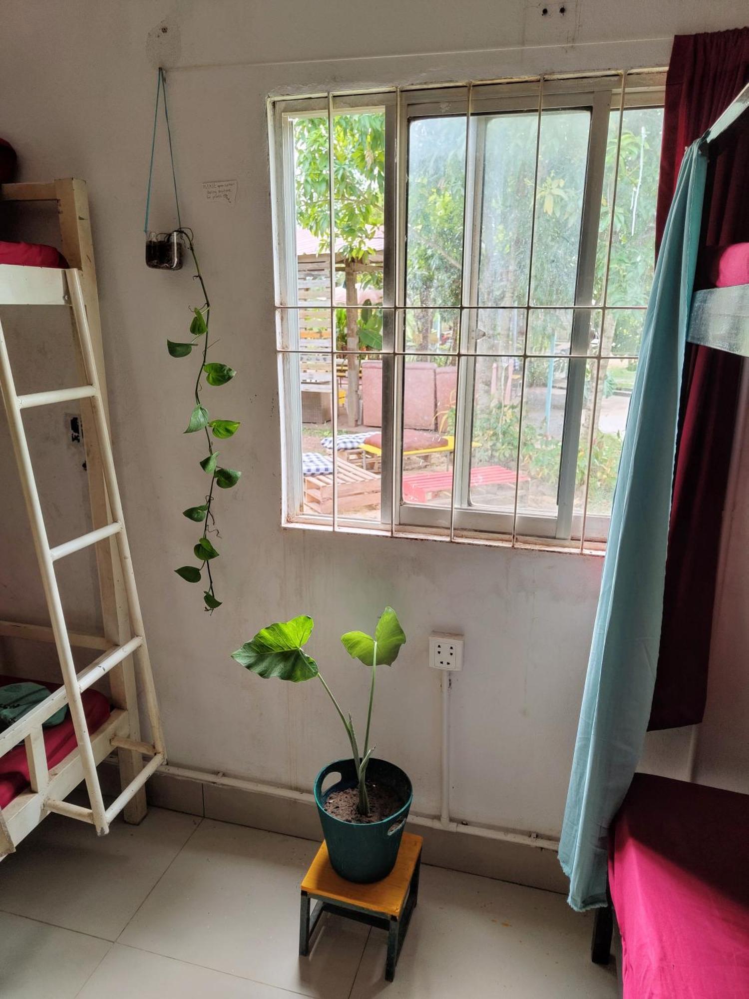The Bear Bungalow Kampot Ngoại thất bức ảnh